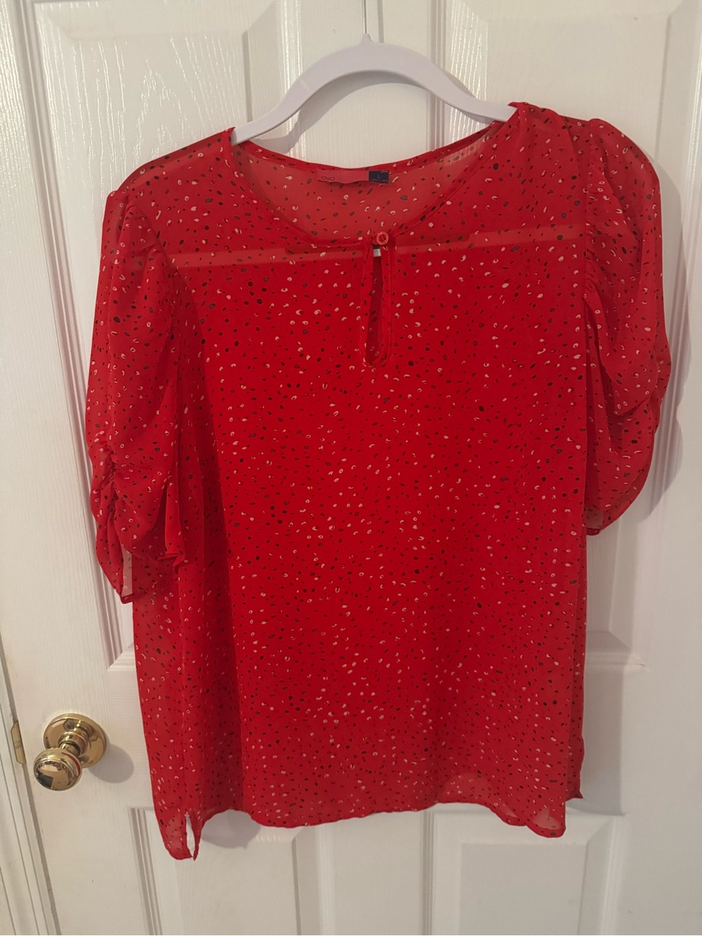 Red Puff-Sleeve Semi-Sheer Dot Blouse
